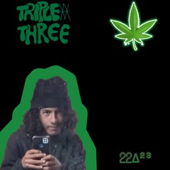 triple three - e só uma planta