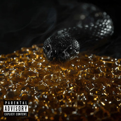 Poison & Honey