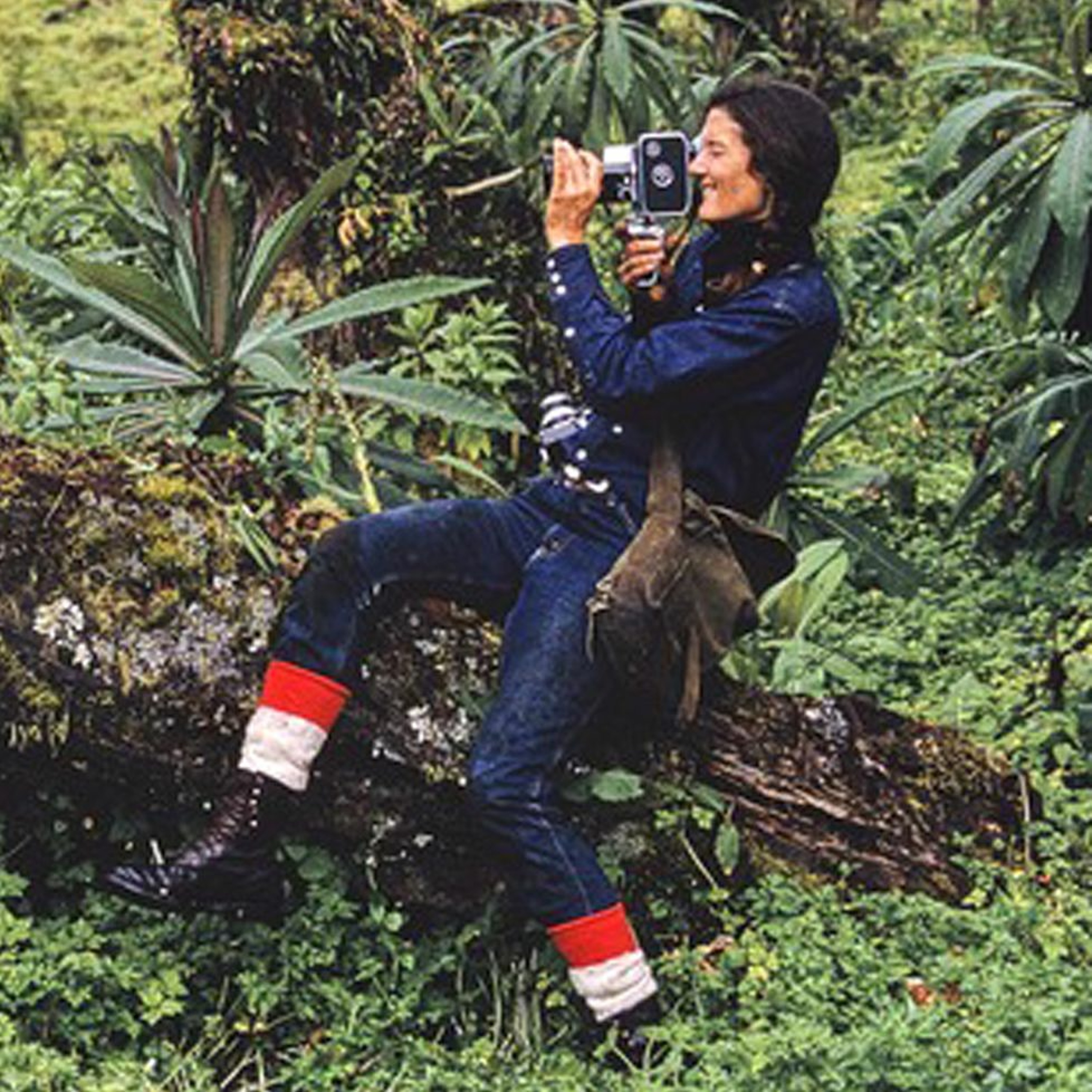 Gorillas in the Mist: The Life and Legacy of Dian Fossey episode artwork