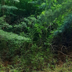 Twilight with YEON (Prod. YUNG LEO)