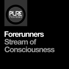 Stream of Consciousness (Extended Mix)