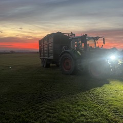 Grass on🤠