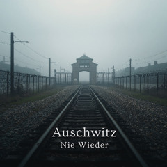 Auschwitz, Nie Wieder
