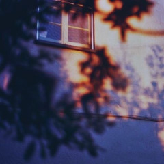 Lights