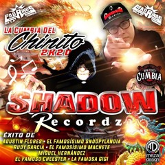 LA CUMBIA DEL CHINITO LIMPIA 2021 SHADOW PDLK .mp3
