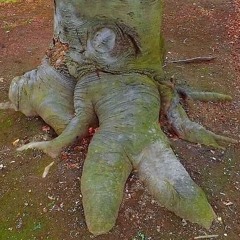 I WANNA BE SEDATED. (prod morecalcium)