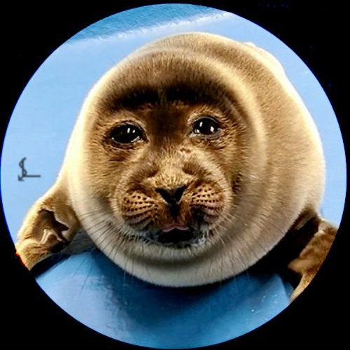 nikoです Stream Niko by Twkrpuff | Listen online for free on SoundCloud