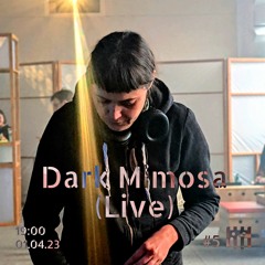 Dark Mimosa [06.04.23]