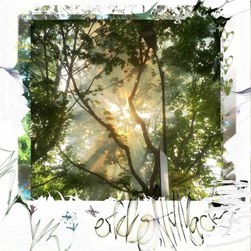 eikko + АНМАСК - polaroid (lesheff + wixxy)