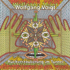 AI-40: Wolfgang Voigt - Rückverzauberung im Tunnel