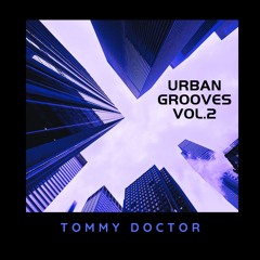 Urban Grooves vol.2