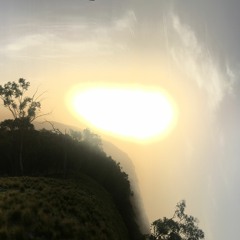 Flower Mix: Wingnut ~ GetOutOvBedMix