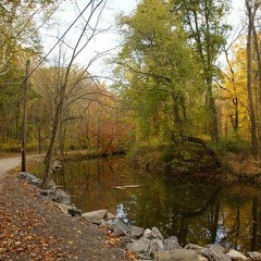 A Familiar Path