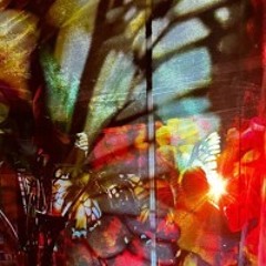 Vou viver (live performance)