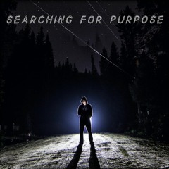 Searching for purpose