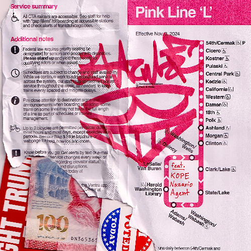 PINK Concha