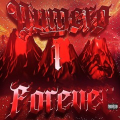 Numero 1 Forever