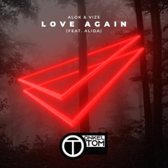 Alok & VIZE (feat. Alida)- Love Again (Bootleg) // Preview