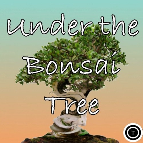 Under the Bonsai Tree