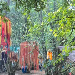 Roger-Roger B2B Thym Flies @ Familiar Forest 2025