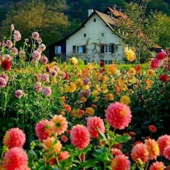 MADI  Sarı çiçeyim