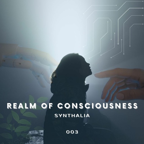 Realm of Consciousness 003