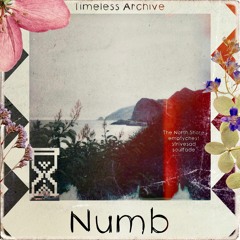 Numb w/ strivesad, soulfade, The North Shore & emptychest [+ loverboybeatz]