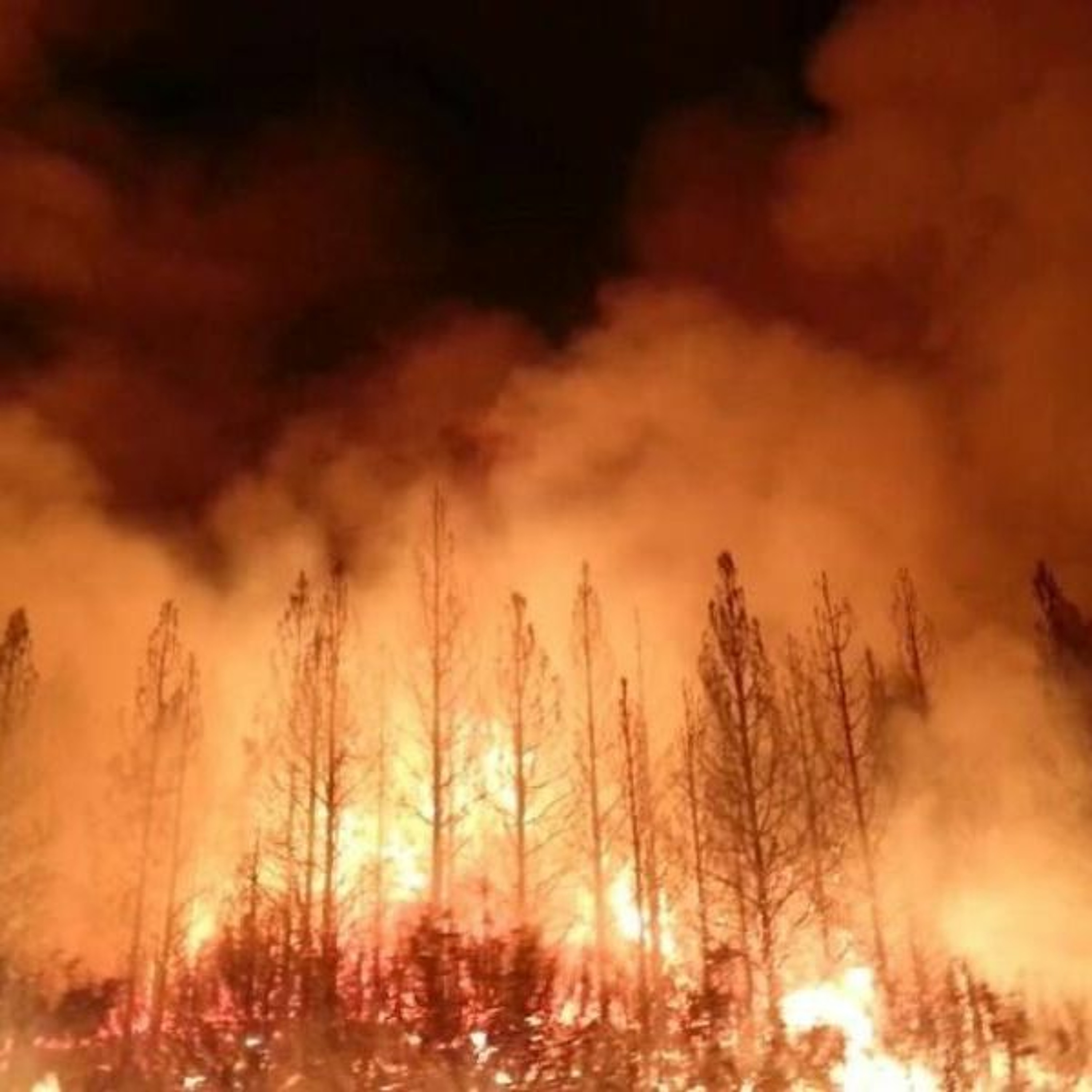 KHOL Jackson Hole Community Radio 89.1 FM