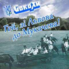 Гілка калини