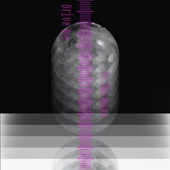 drive me to the moon