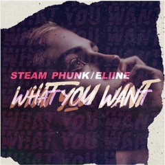 Steam Phunk X Eliine - What You Want