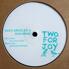 Alex Arcoleo & Sam Bhok - Nine Barrows / Adverse Camber [FORJOY001]