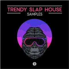 "Trendy Slapy House" - Sample Pack