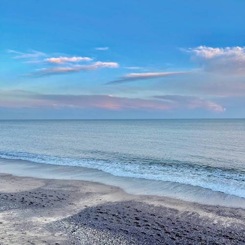 Shoreline Runner
