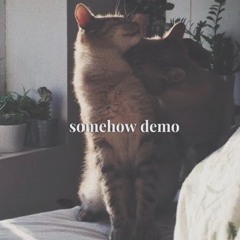 Somehow Demo