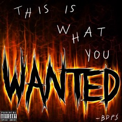 This Is What You Wanted (prod. JakeTheBirdy)