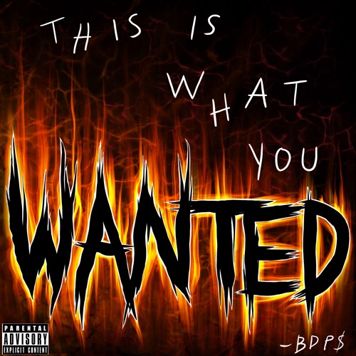 This Is What You Wanted (prod. JakeTheBirdy)