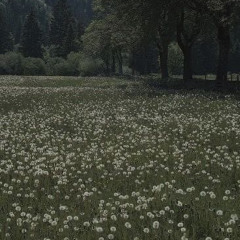 Undertale - Fallen Down [slowed+reverb+rain]