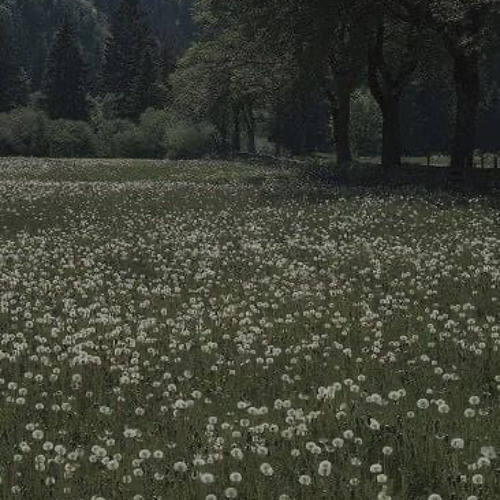 Undertale - Fallen Down [slowed+reverb+rain]