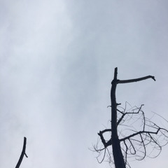 lost with you (Patrick Watson)
