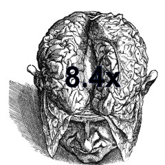 8.4x