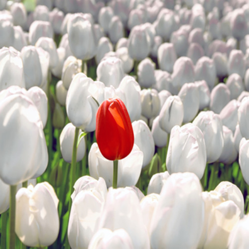 Ep.1405: How Do We Keep Ourselves Separate from the World? (Christian Conduct Series)