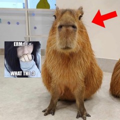 lil uzi and playboi carti drink the gay potion!!