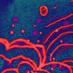 JNME2024 - Concert 1