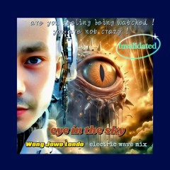 EYE IN THE SKY 2025  (electric wave extended mix)