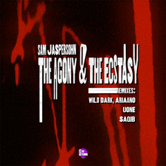 Premiere: Sam Jaspersohn - The Agony (Uone's MS Loaded Remix) [Beats on Time]