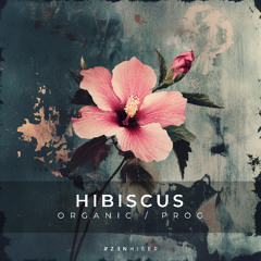 Hibiscus by Zenhiser. The Sonic Palette of Progressive and Organic House.