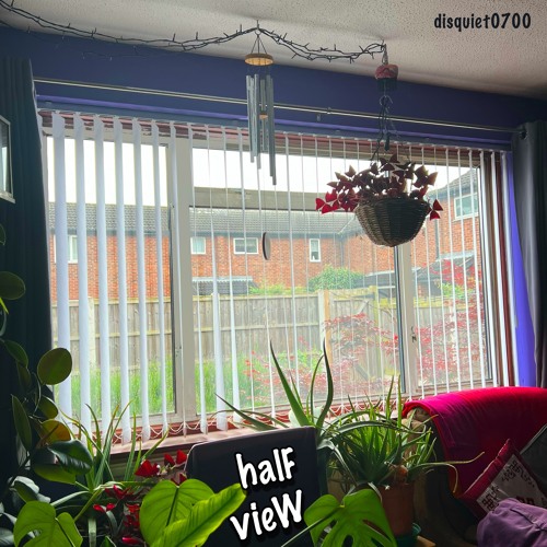 halF vieW [disquiet0700]