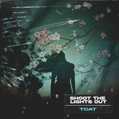 TCAT - SHOOT THE LIGHTS OUT