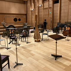 Intolerant Complexity for recorder and ensemble (2023)